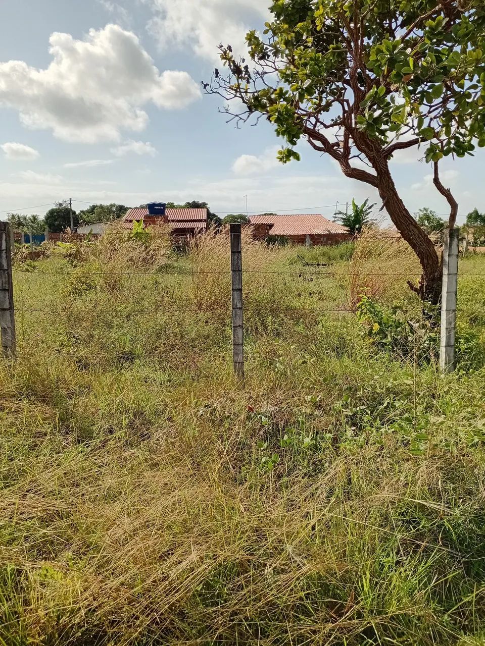 Dois lotes em aquiraz  - Foto 4
