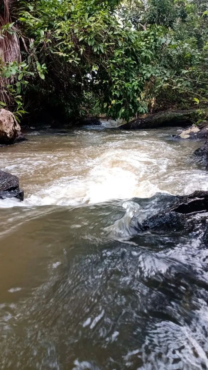 Fazenda 14 alqueires 