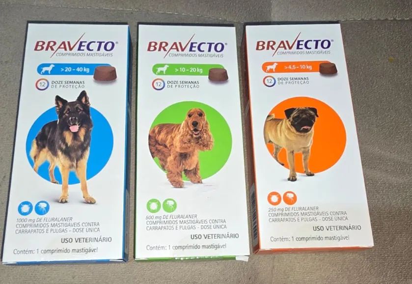 Cachorro - Foto 5