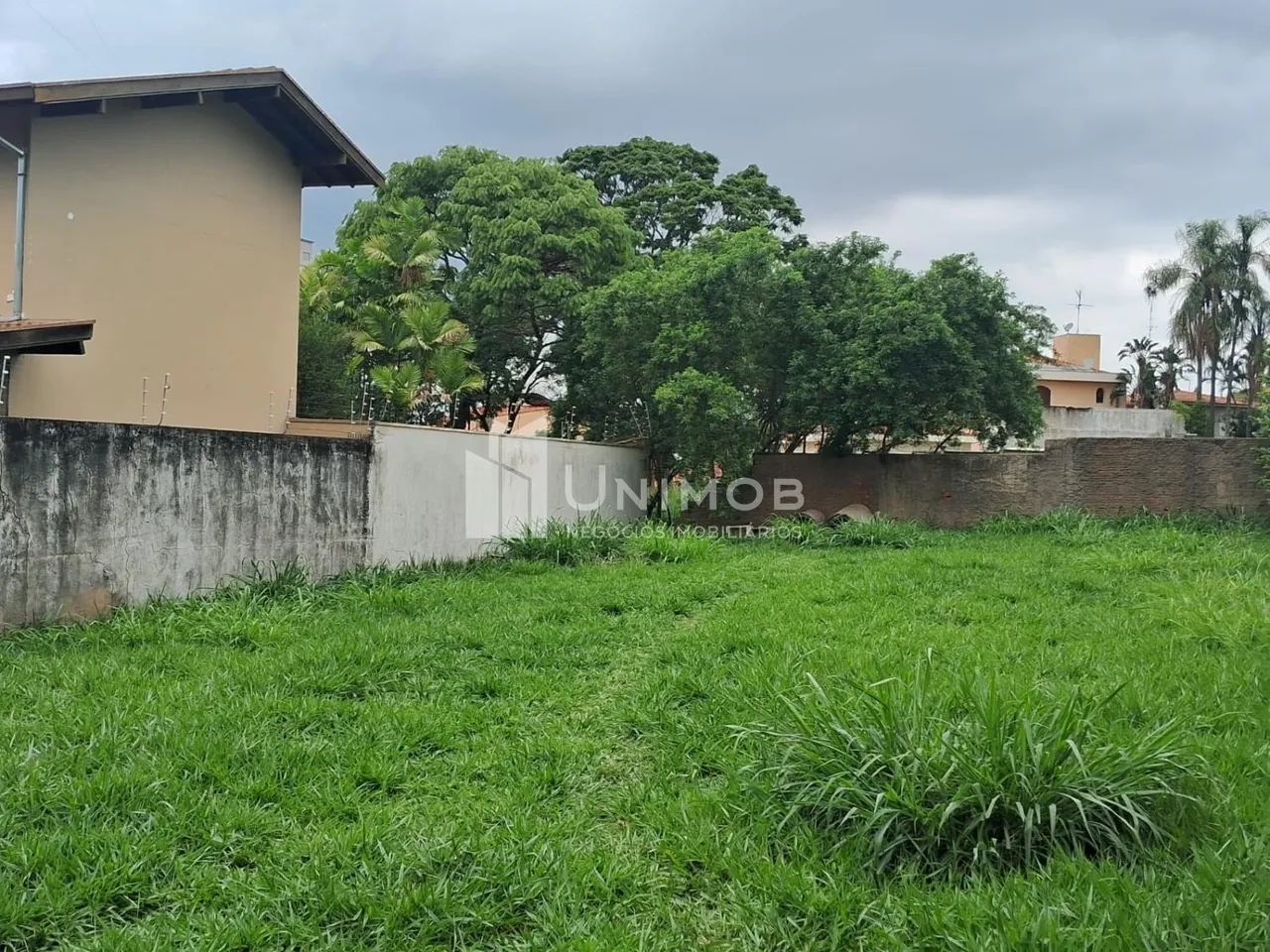 terreno - Nova Campinas - Campinas - Foto 5