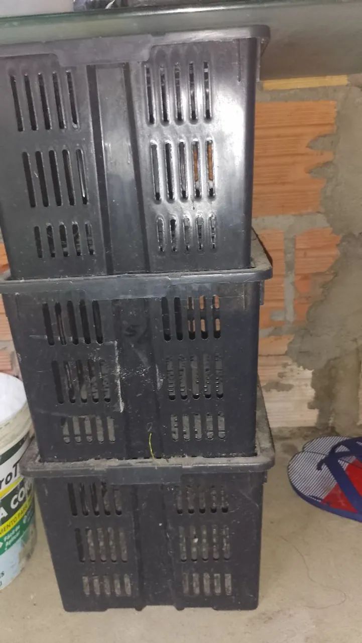 Vendo caixas plásticas 