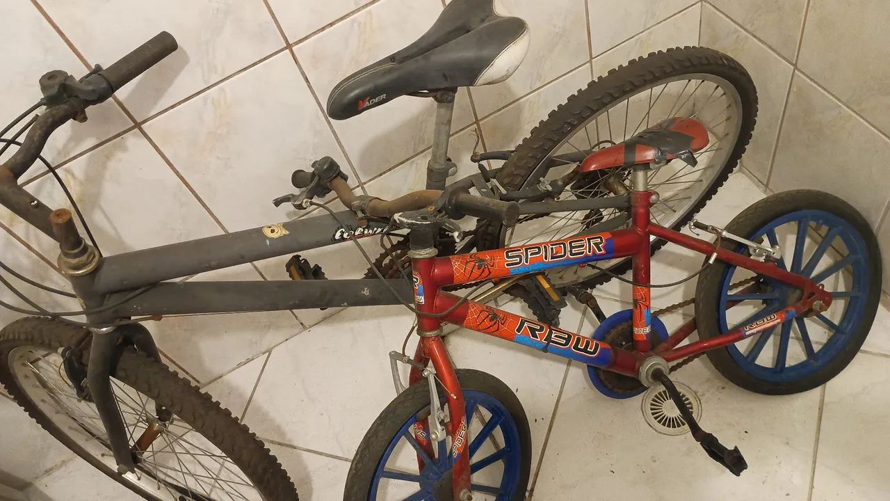 Bicicletas no estado