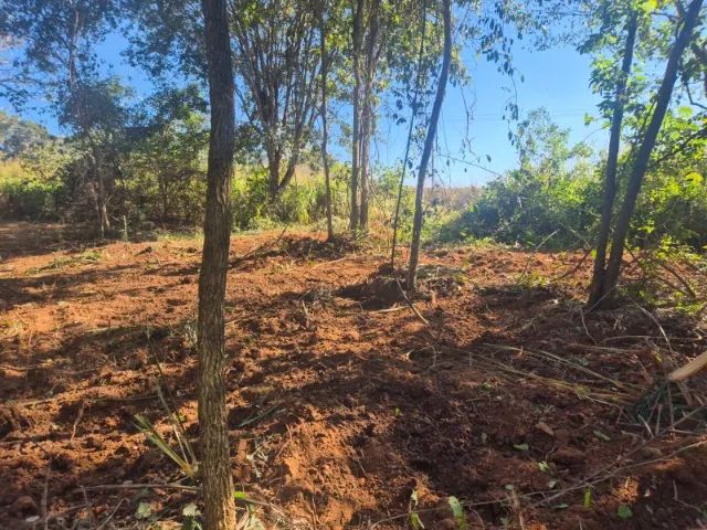 EXCELENTE ÁREA PARA LAZER - 1 HA (10.000 m²) - Foto 5