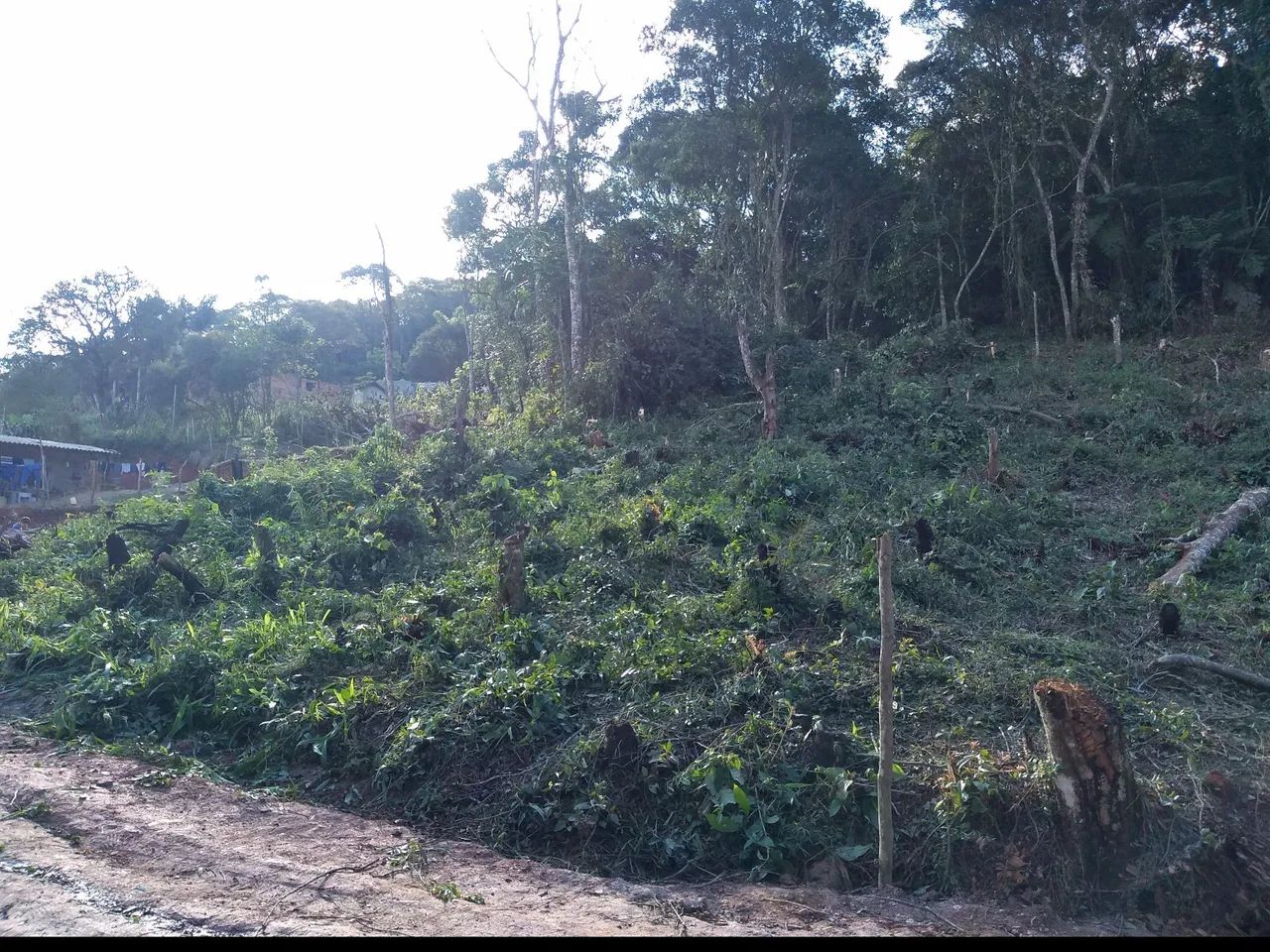 Foto - Ferraz de Vasconcelos - Conjunto Residencial Presidente Castello Branco