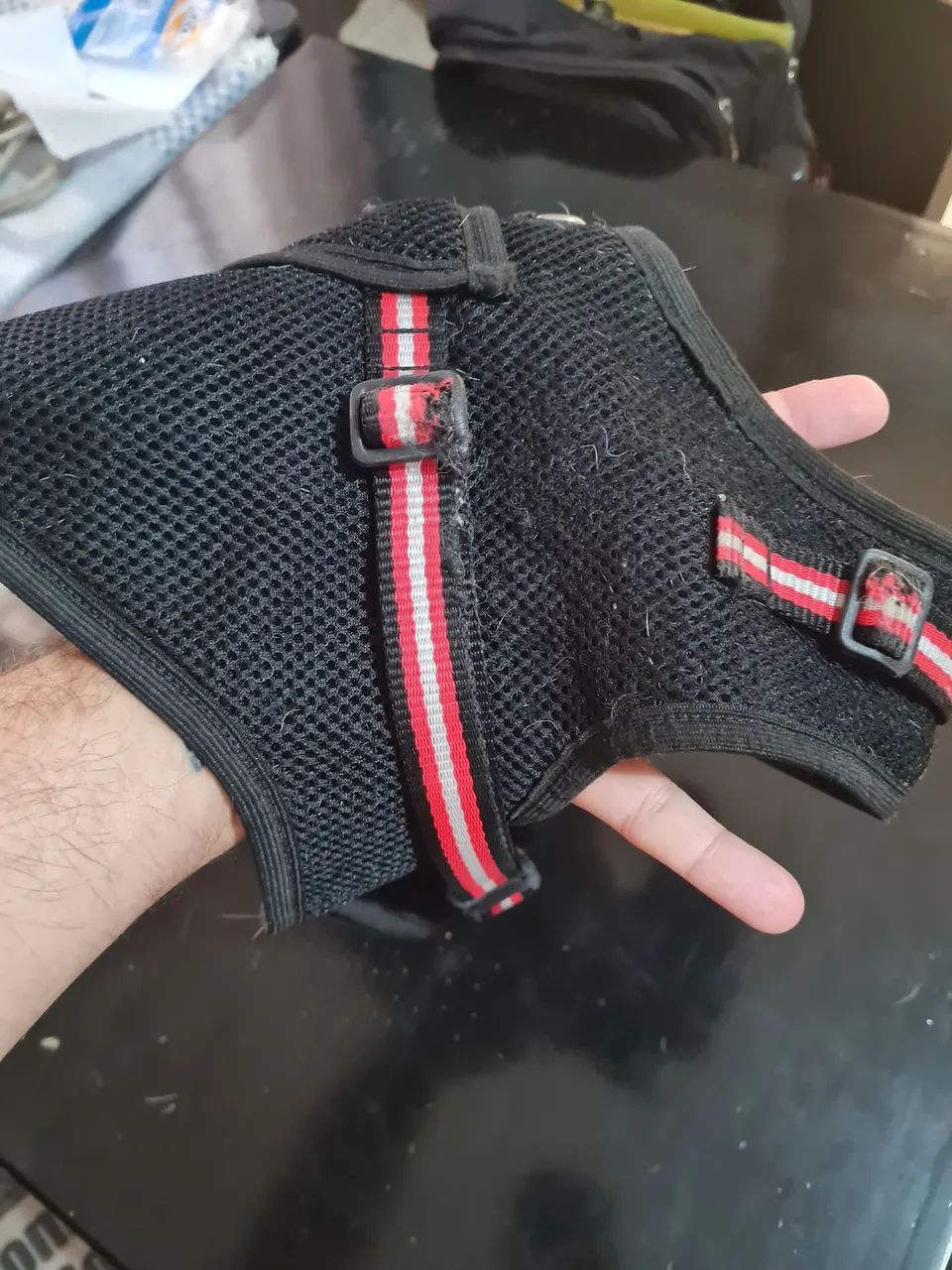 Coleira peitoral - Foto 4