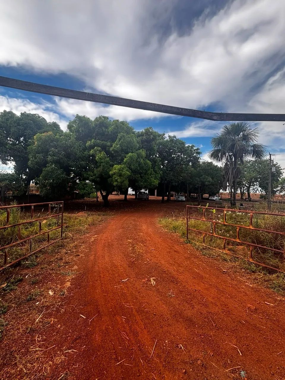 Chácara à Venda em Lagoa da Confusão - TO - Foto 4