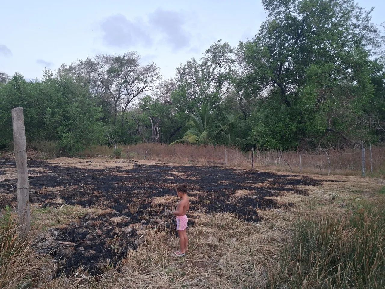 Vendo este terreno  - Foto 4