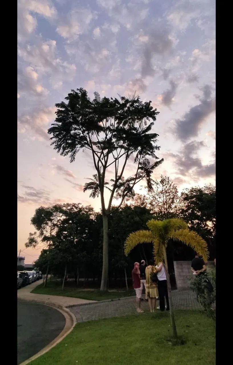 TERRENO EM CONDOMÍNIO FECHADO - Foto 4