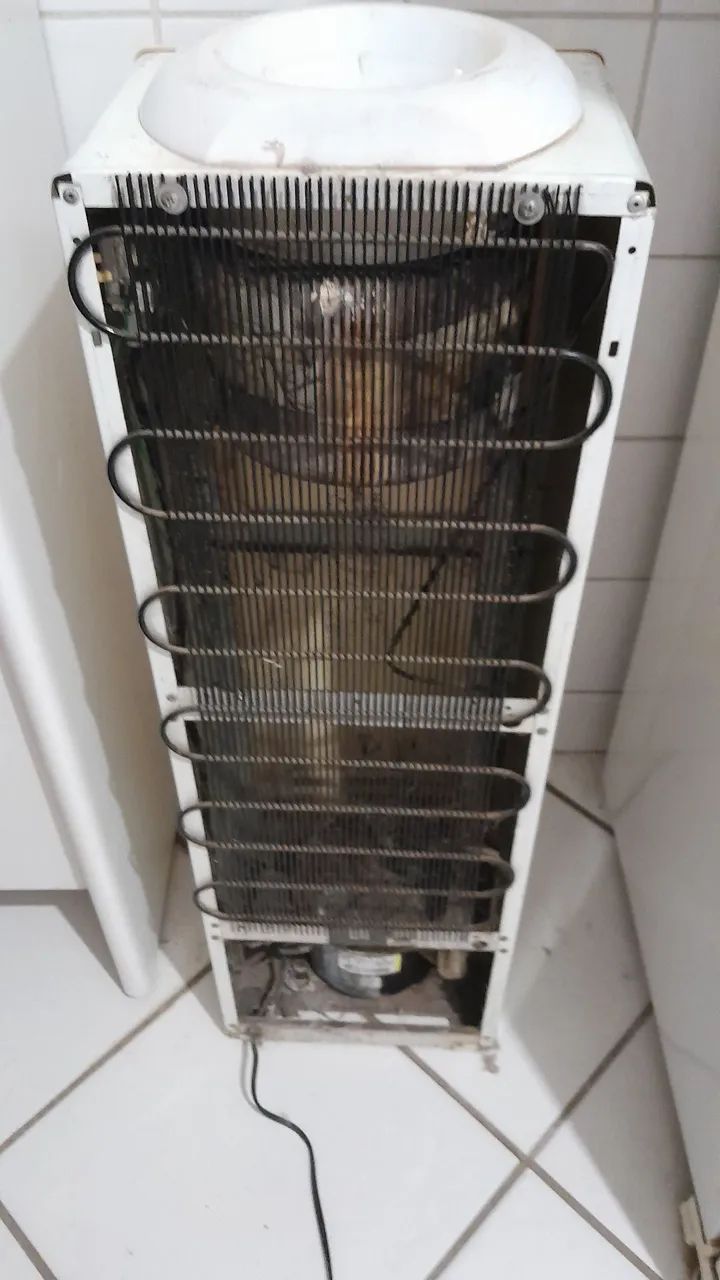 Bebedouro de Garrafão com Compressor Catral 220V - Foto 4