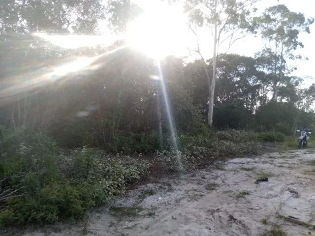 Área Rural - Foto 3