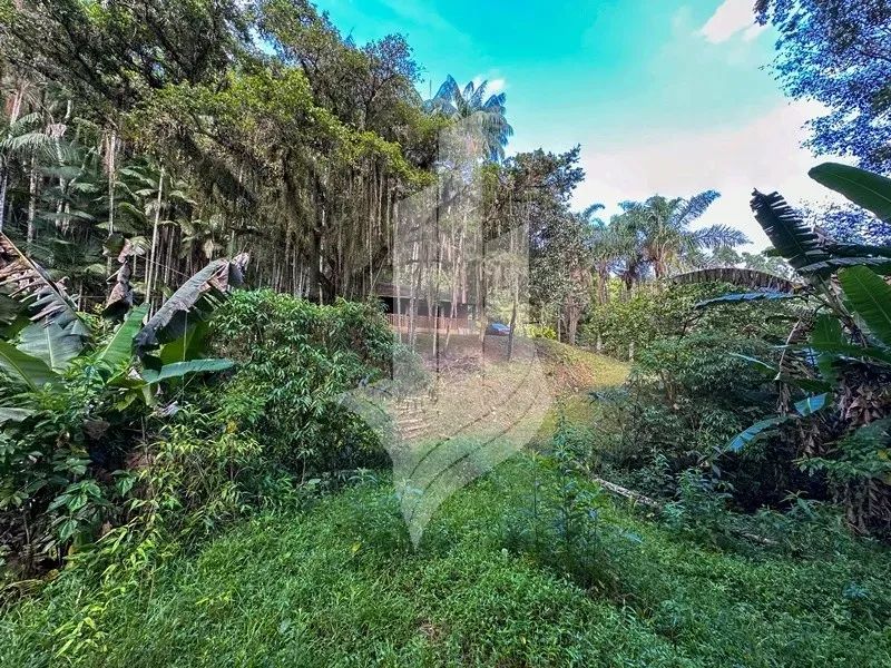 Chácara com cachoeira em Indaial - SC - Foto 10