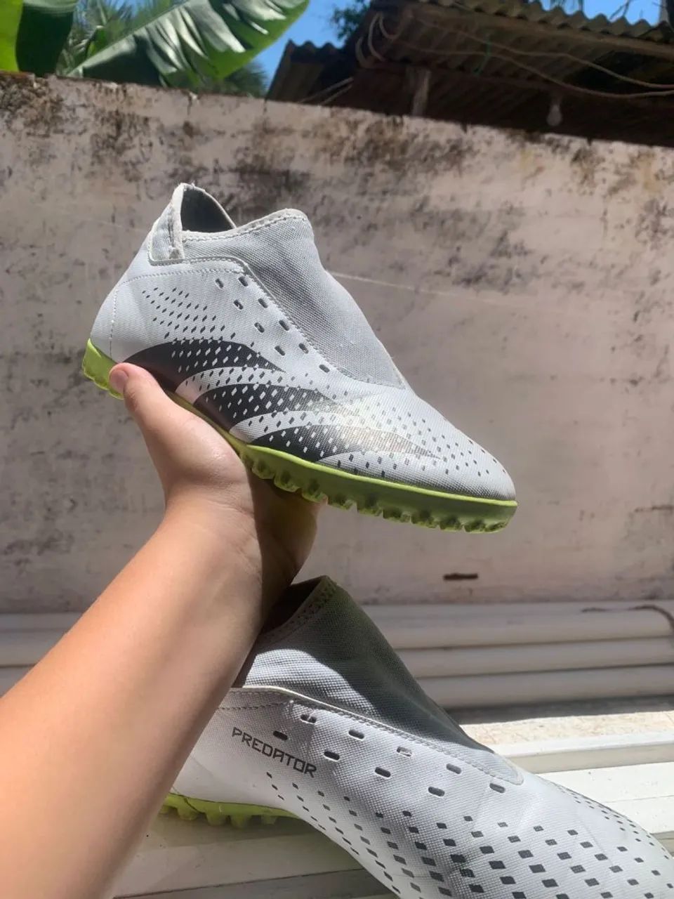 Chuteira Society Adidas Predator