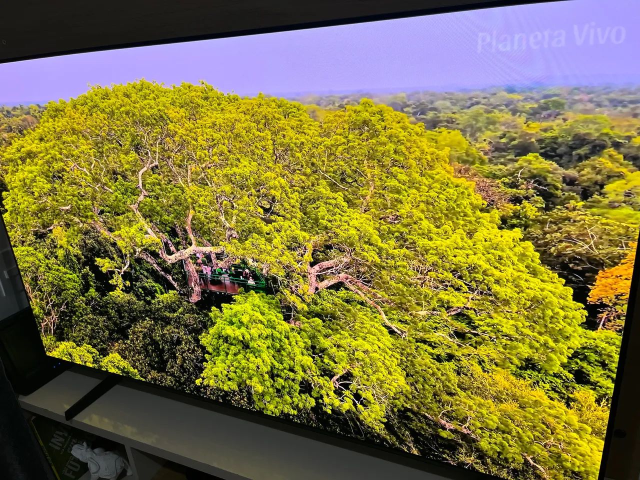 TV Oled 55 - Foto 4