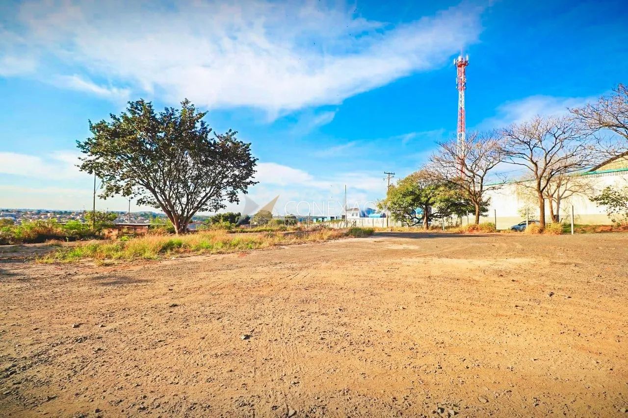 área - Cidade Satélite Íris - Campinas - Foto 2