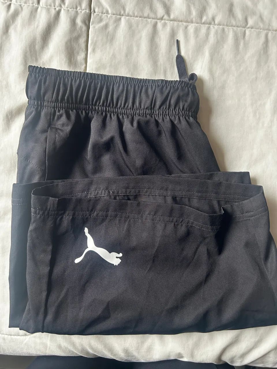 Short puma