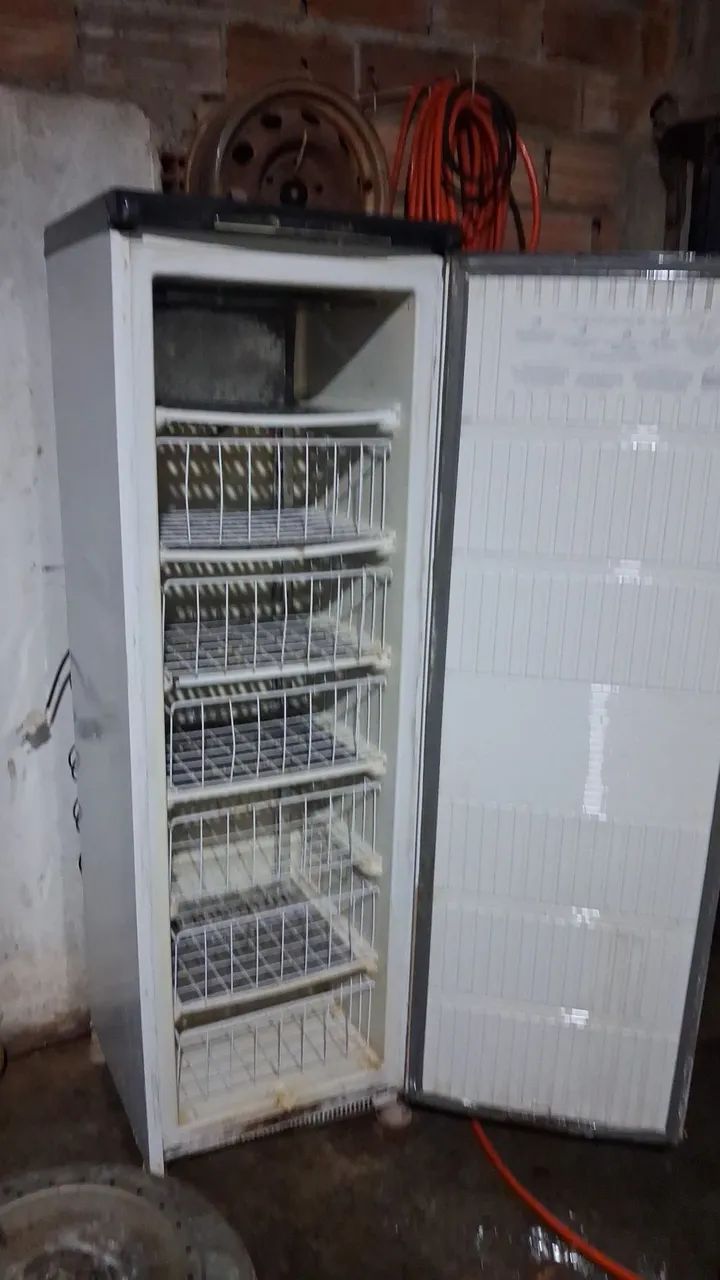 Frezer vertical prosdocimo  - Foto 3