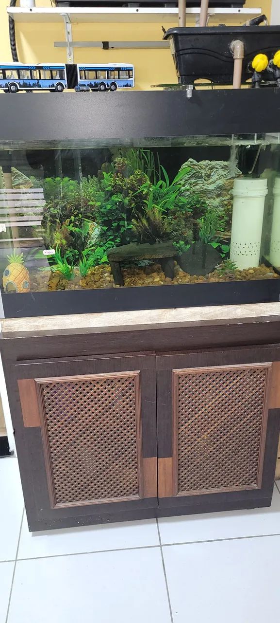 Aquário completo 180 litros - Foto 4