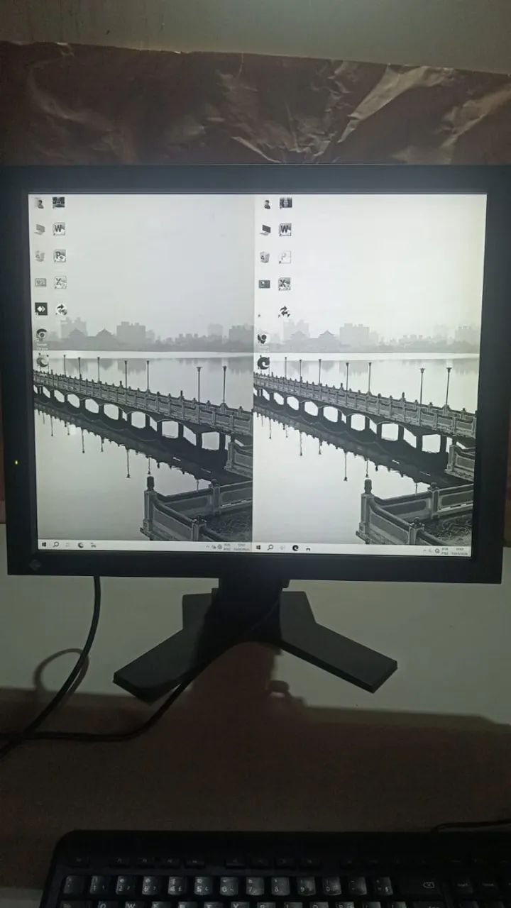 Monitor Profissional EIZO RadiForce GS510 21,3? 5MP
