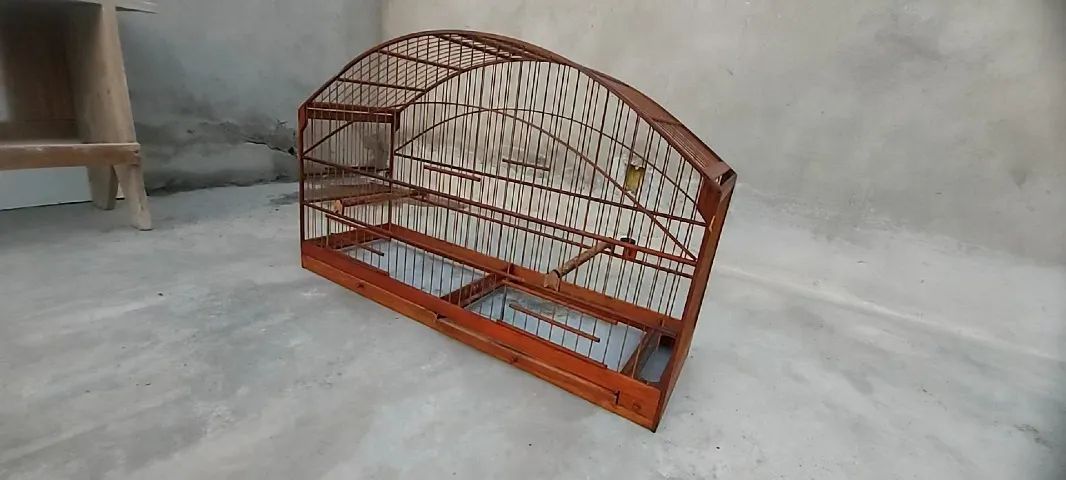 Gaiola Malha Larga - Foto 2