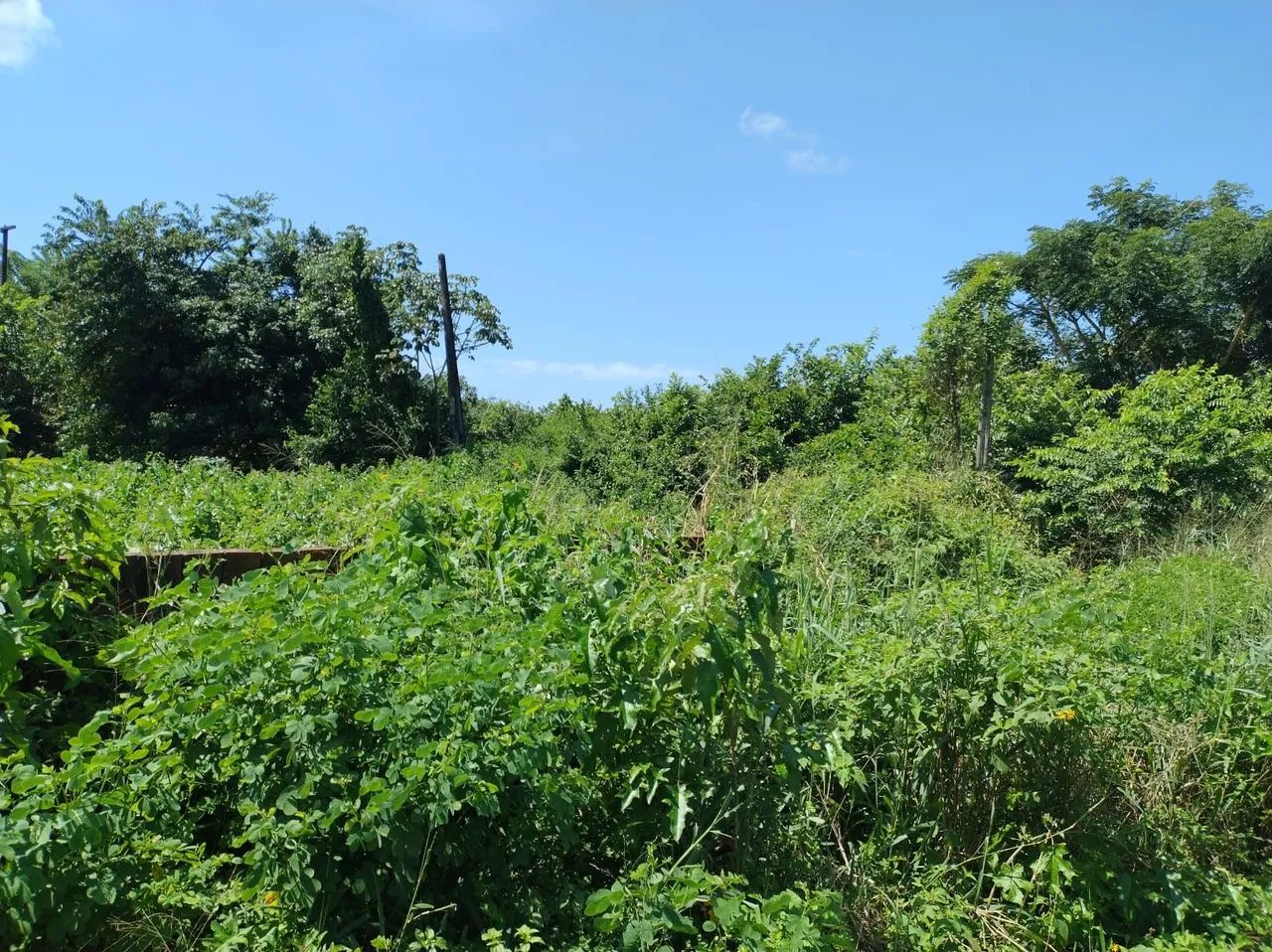 Sítio na Zona norte potengi - Foto 4