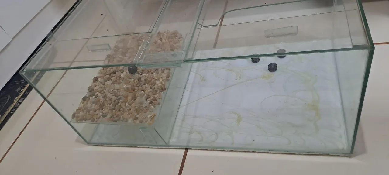 Terrário/ Aquário  - Foto 2