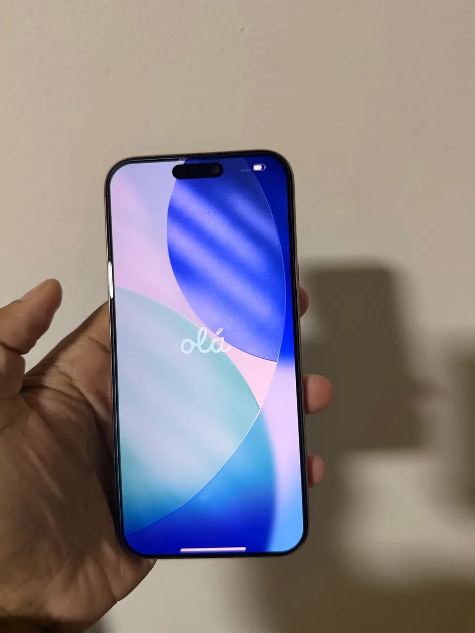 iPhone 16 Pro Max - Impecável 
