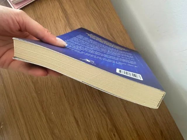 Livro - A Empregada - Foto 4