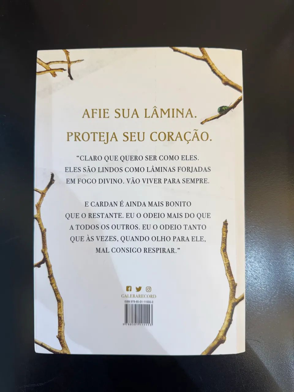 O Príncipe Cruel? -da autora Holly Black- - Livros e revistas - Recreio dos  Bandeirantes, Rio de Janeiro 1470910159 | OLX