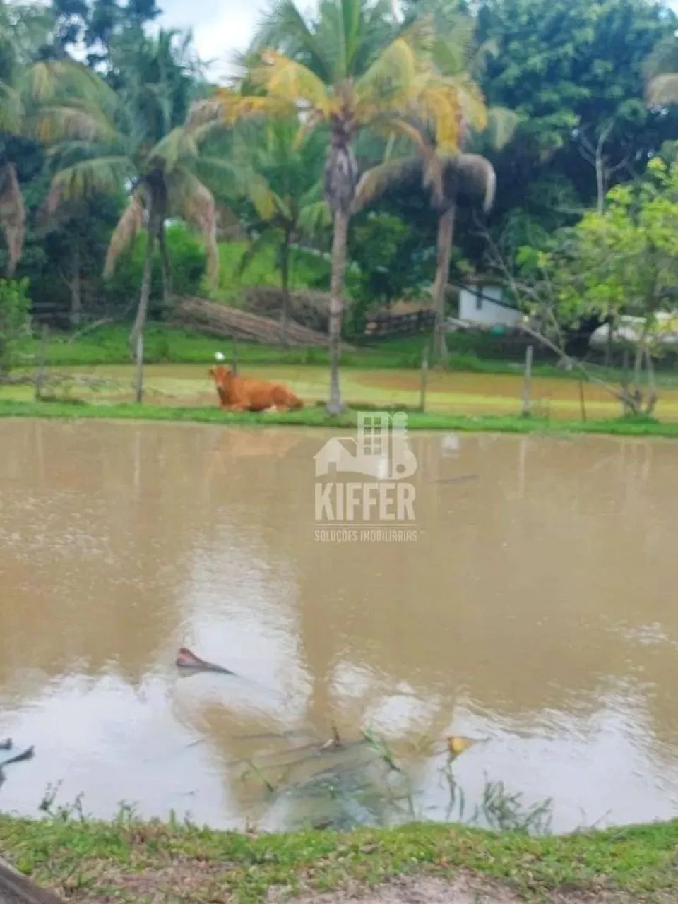 Sítio com 3 quartos à venda, 5450 m² por R$ 1.100.000 - Foto 12