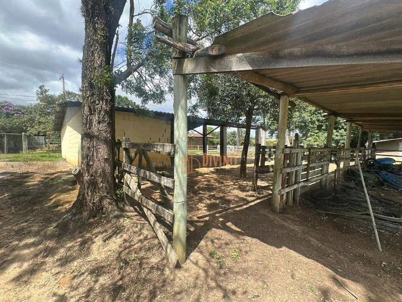 Sítio Produtivo com Nascente e Margem de Rio  Sarapuí/SP - Foto 3