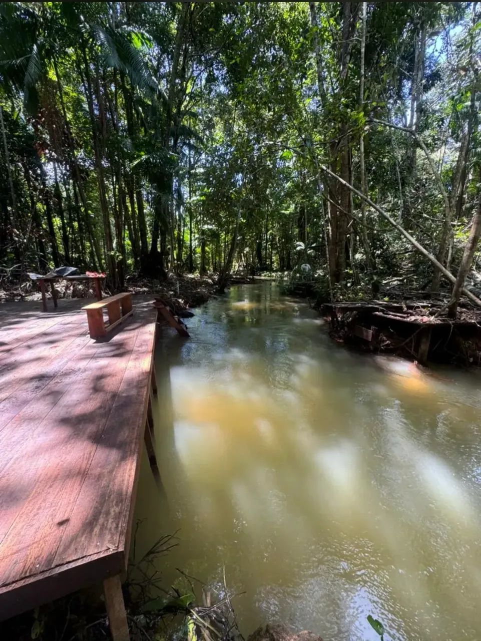 Terreno com Igarapé parcelado no Boleto! - Foto 4