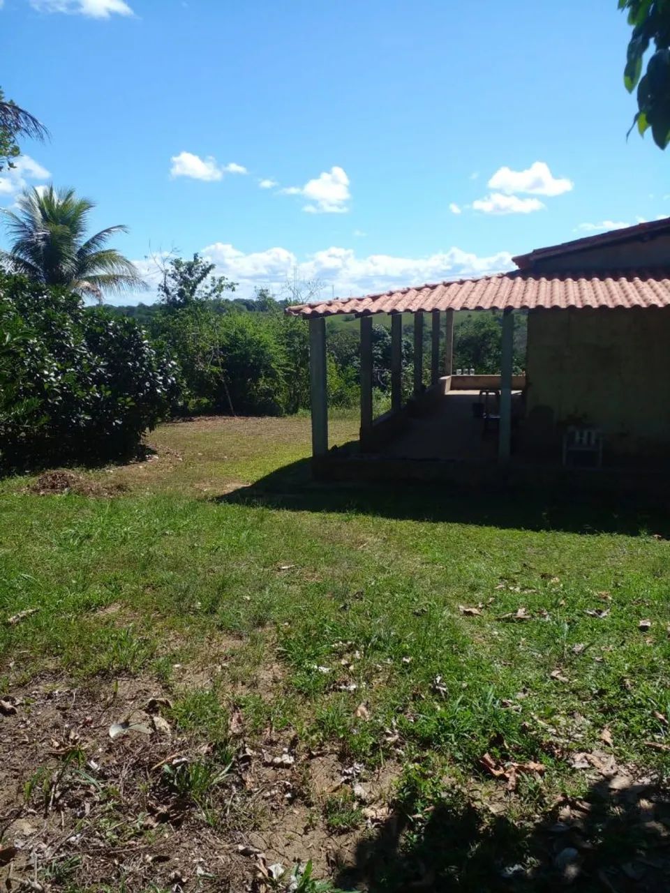 Sítio em Cachoeira Bahia  - Foto 3