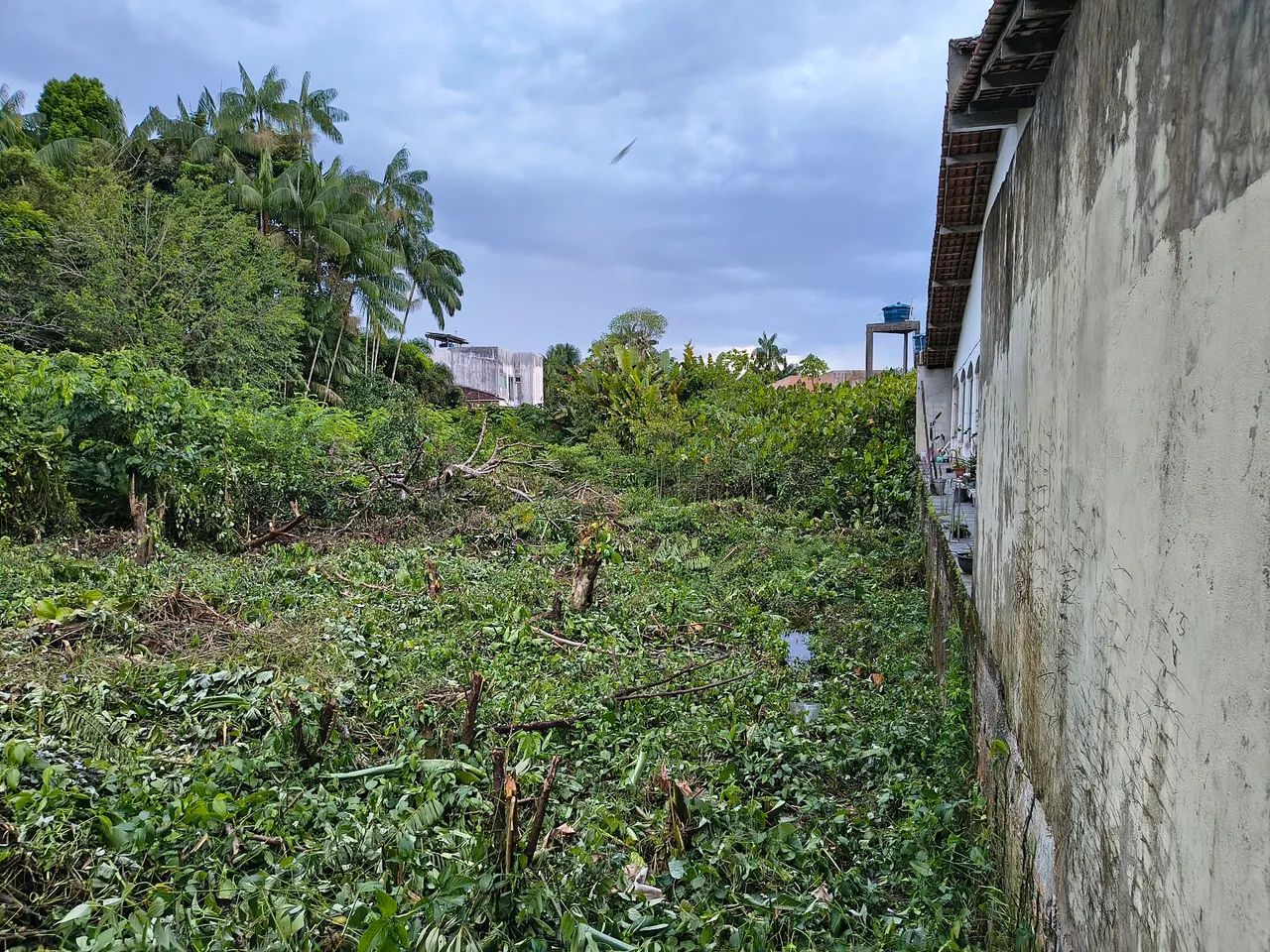 Condomínio Amazon Garden - Foto 5