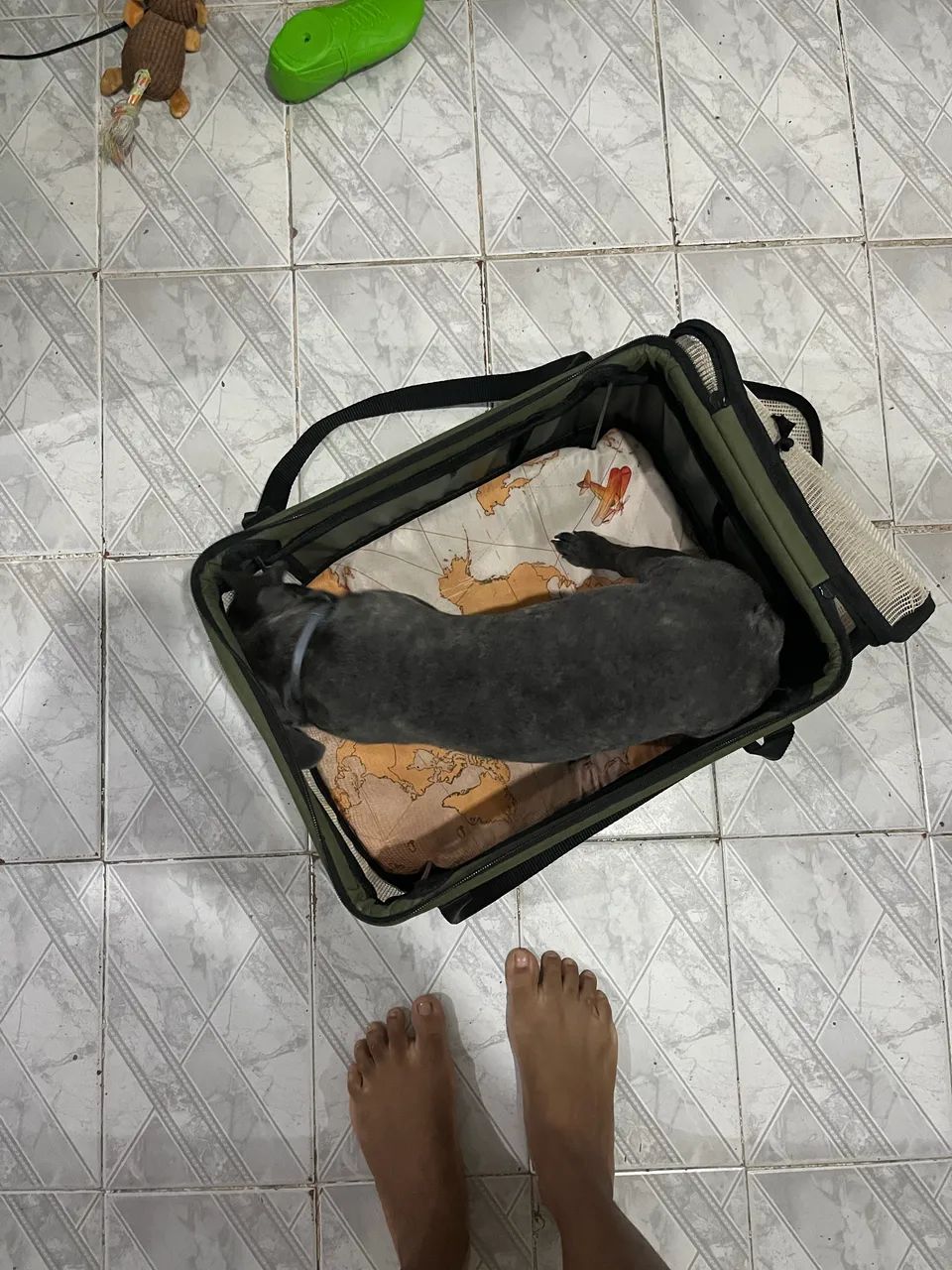 Bolsa transporte 