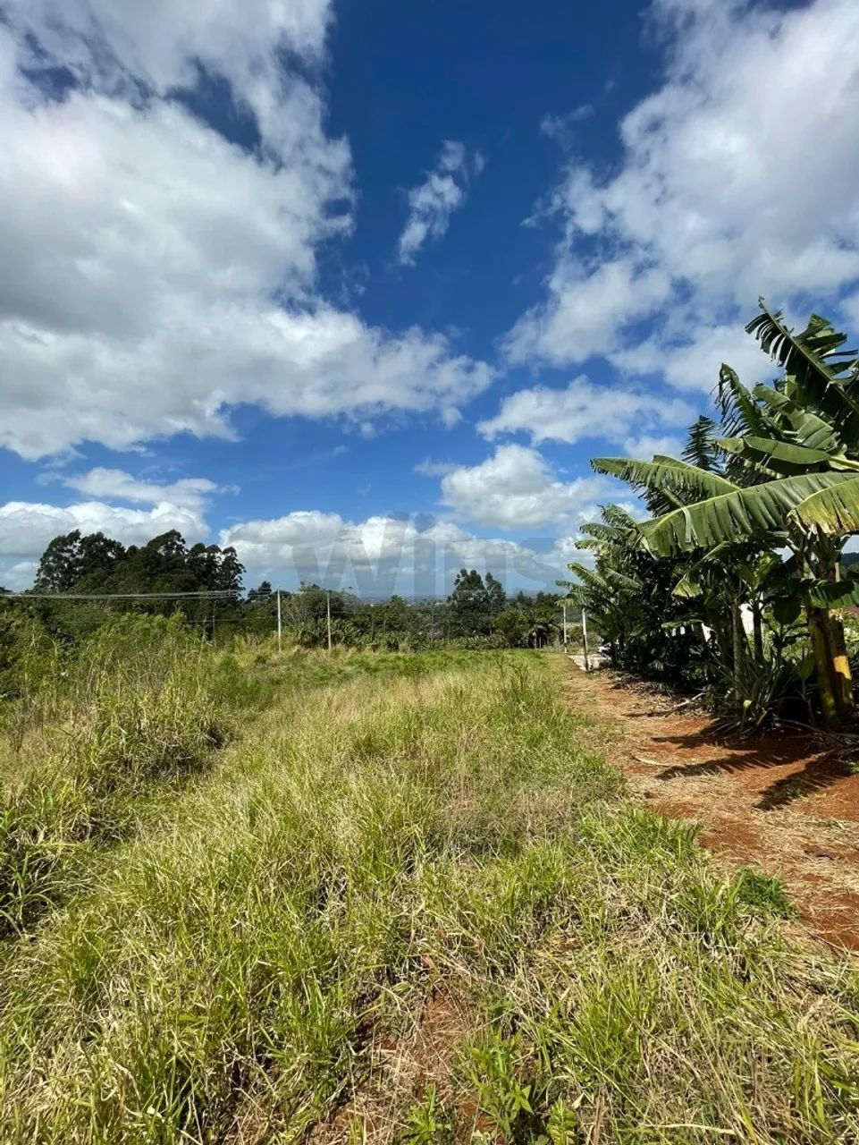 TERRENO RESIDENCIAL em SIDERÓPOLIS - SC, Santa Luzia - Foto 3