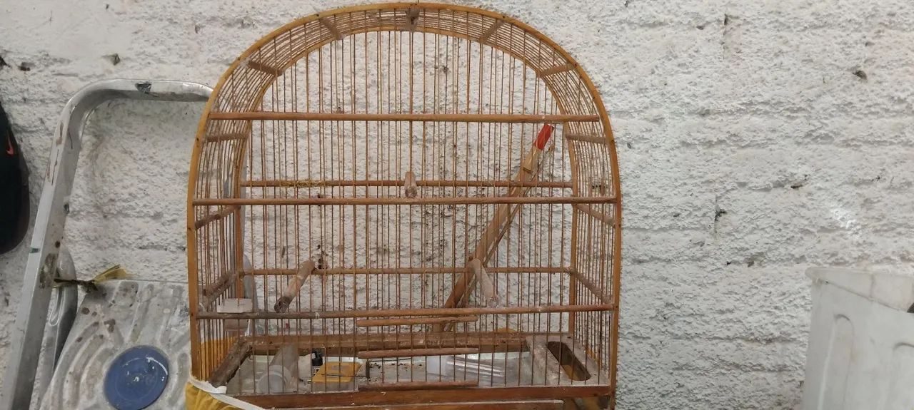 VENDO GAIOLA PARA PÁSSAROS!! - Foto 2