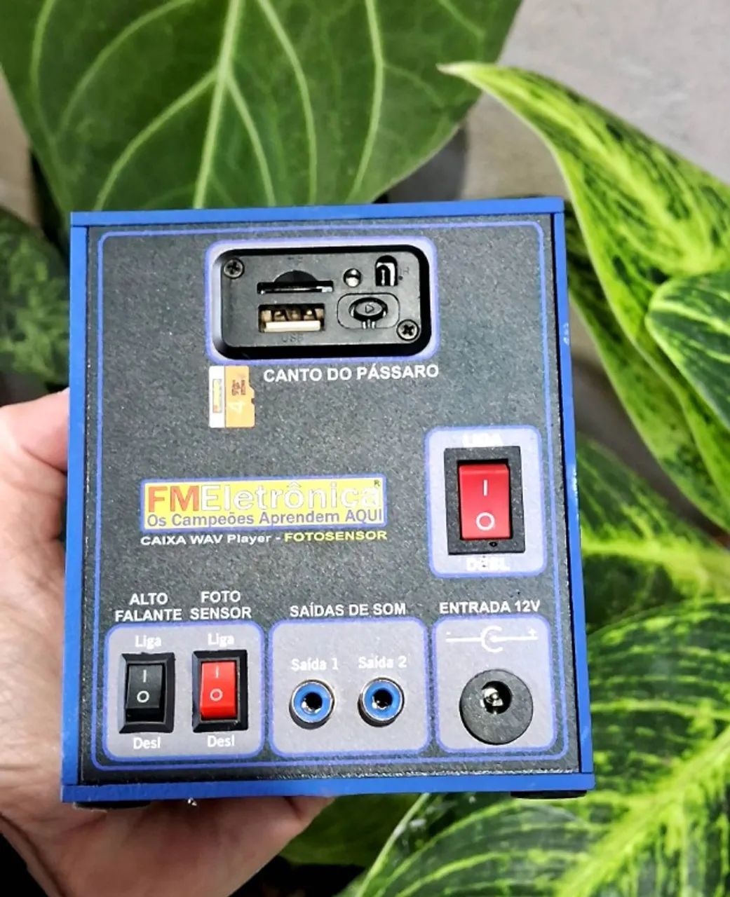 Aparelho de encarte de pássaros com fotosensor