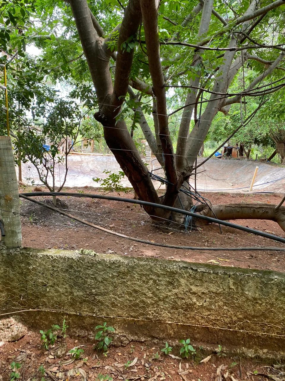 Foto - Goiânia - Vila Isaura