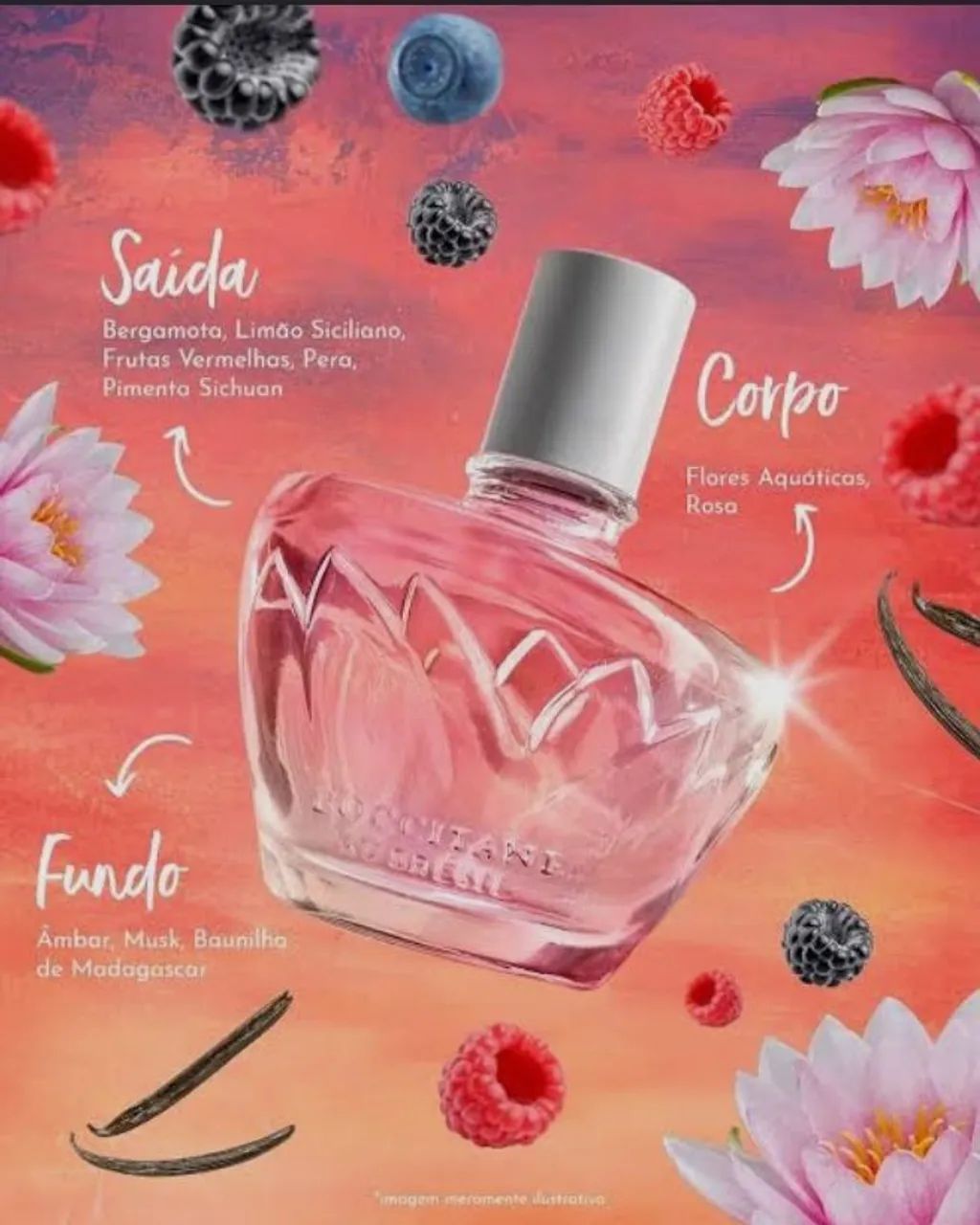 Perfume - Foto 2