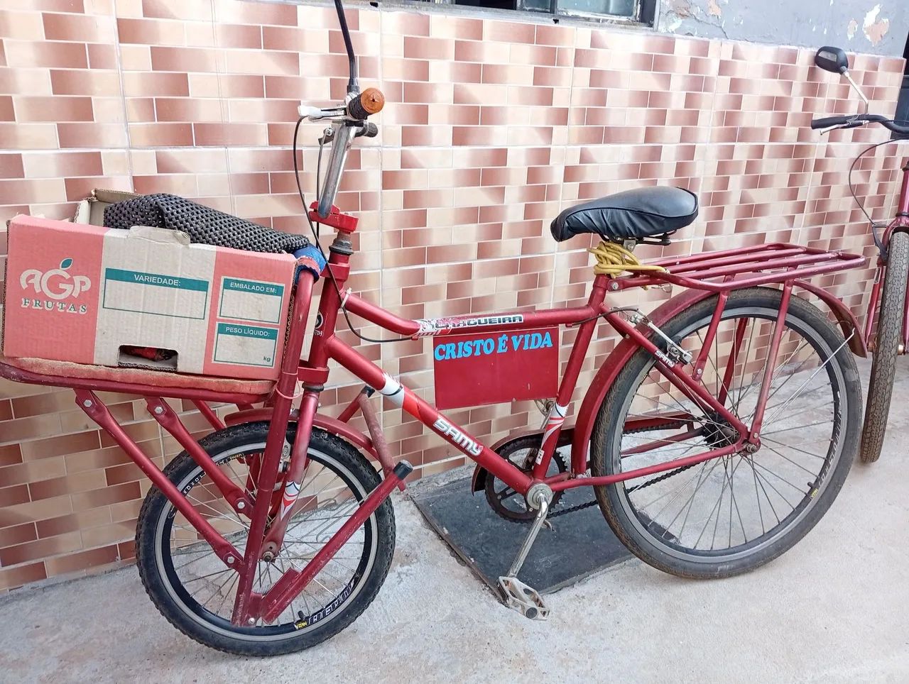Bike de trabalho/cargueira