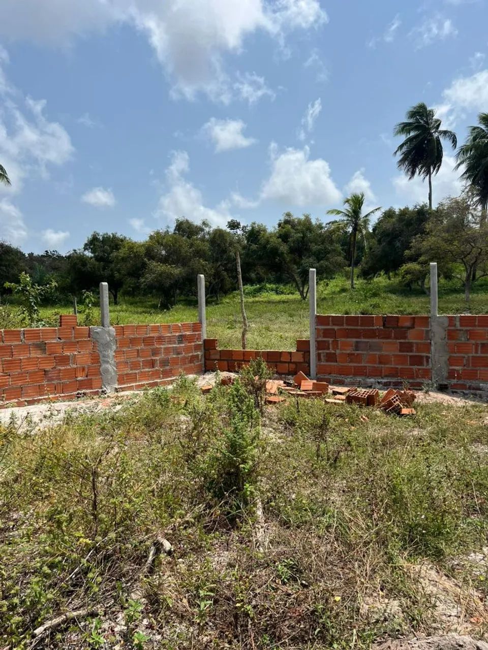 TERRENO EM SANTO AMARO - Foto 5