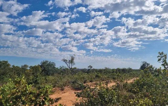 Imóvel rural no Zona Rural em Novo Acordo - Foto 3