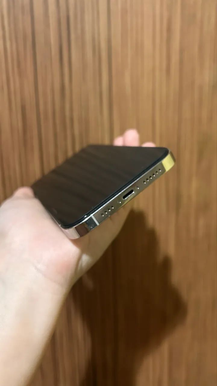 iPhone 13 Pro Max  - Foto 2