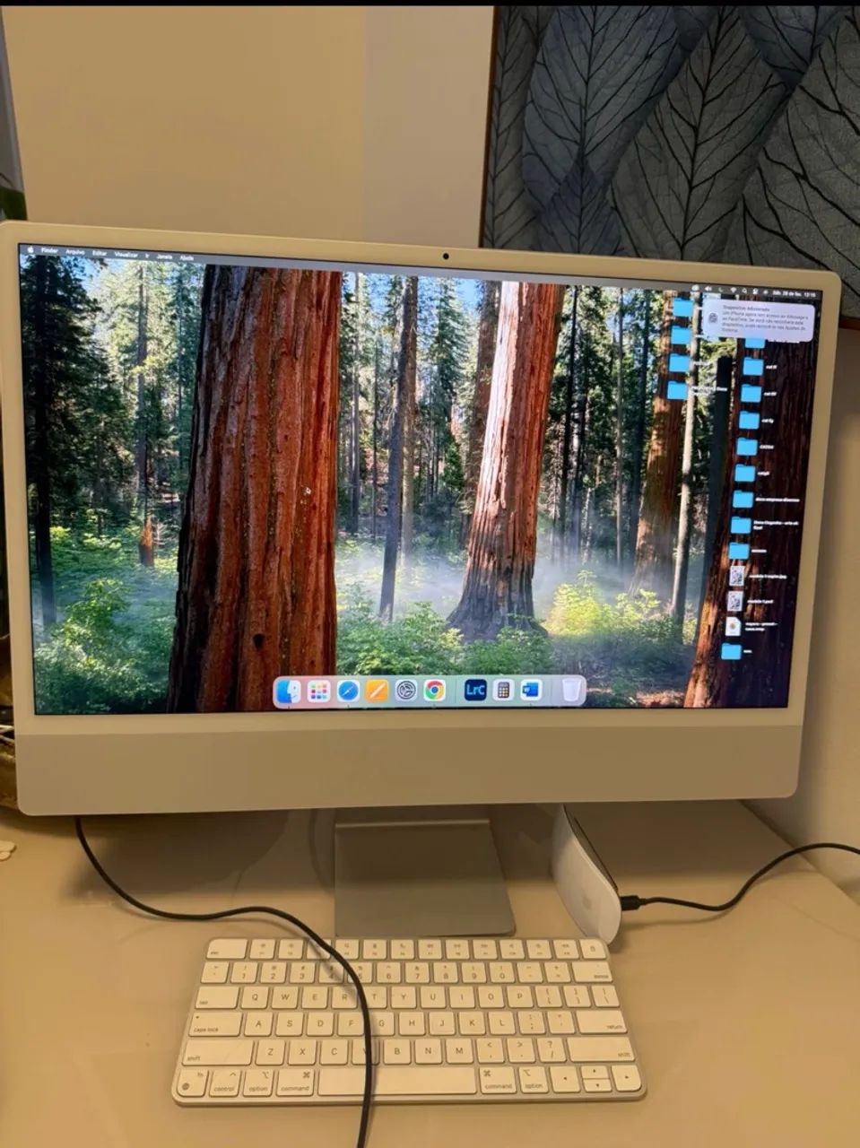 Apple IMac 