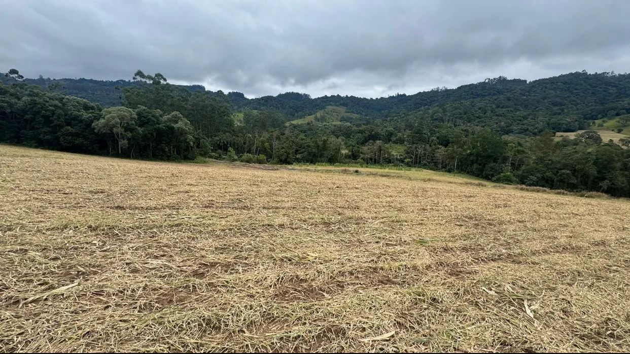 Oportunidade de sitio  - Foto 2