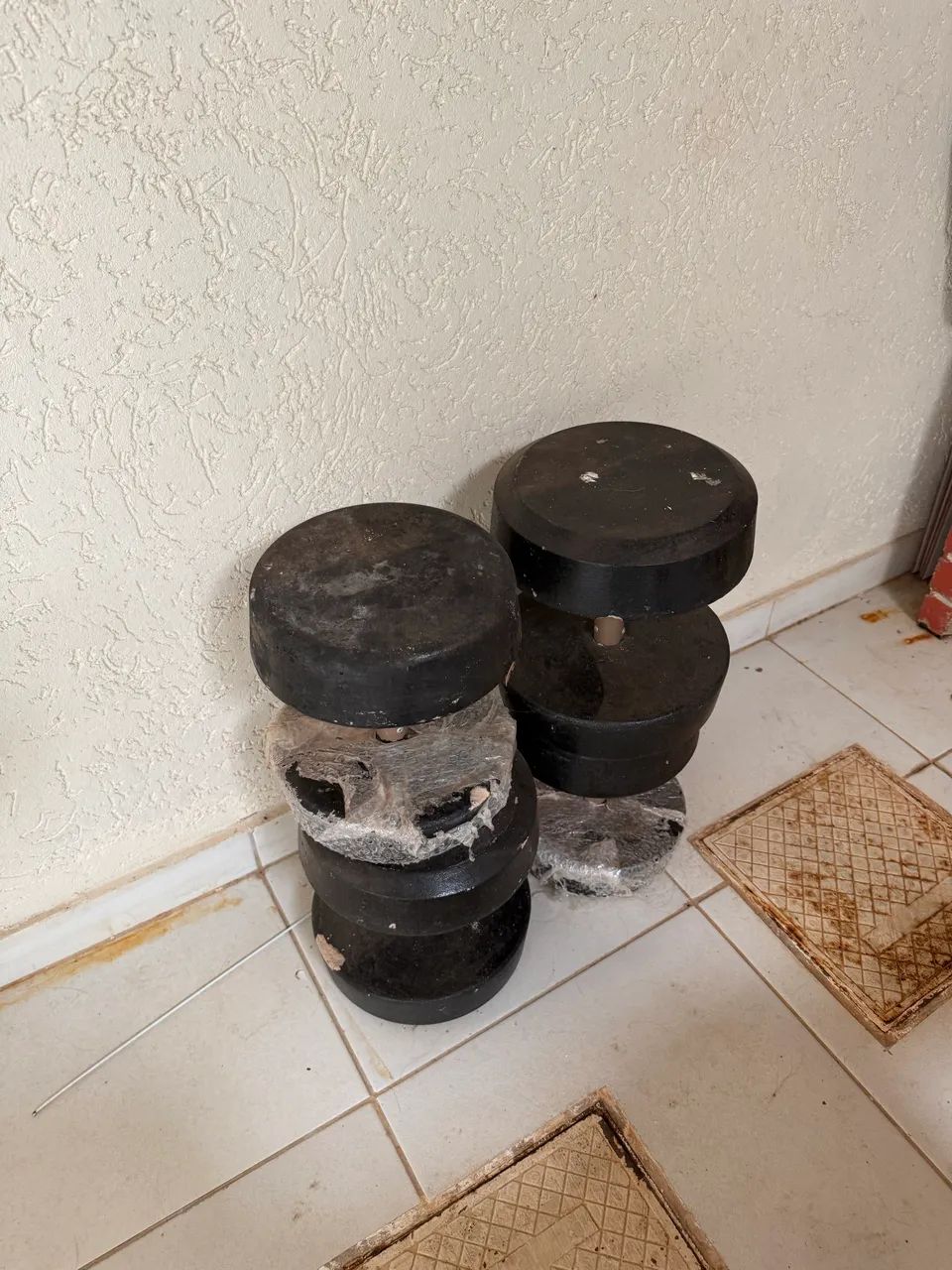 Halteres 10 e 12 kg