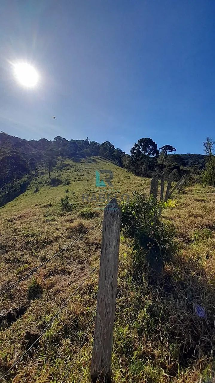 SÍTIO FORMADO EM DELFIM MOREIRA-MG - Foto 2