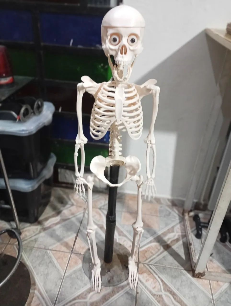 Caveira Corpo humano  - Foto 3