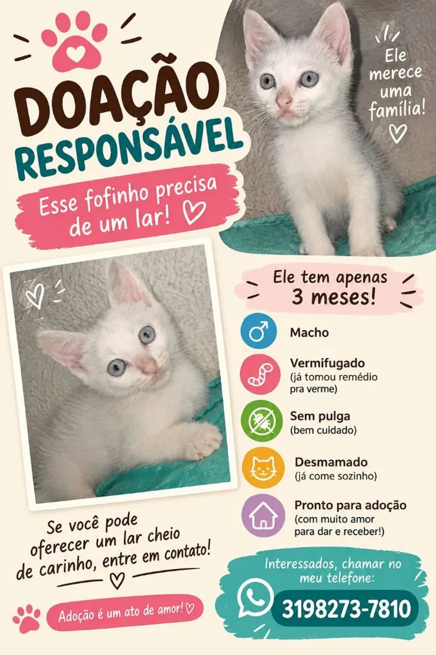 Adoção 
