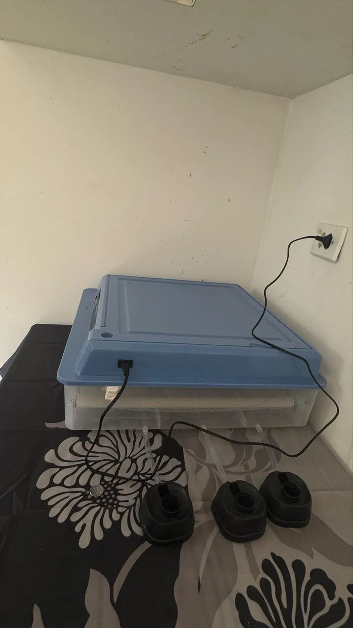 Chocadeira completa! - Foto 2